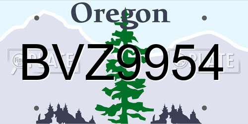 BVZ9954 Oregon License Plate