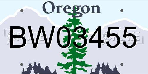 BW03455 Oregon License Plate