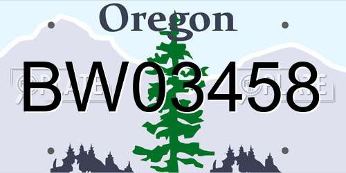 BW03458 Oregon License Plate