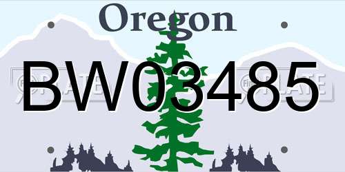 BW03485 Oregon License Plate