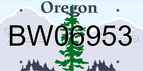 BW06953 Oregon License Plate