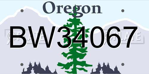 BW34067 Oregon License Plate