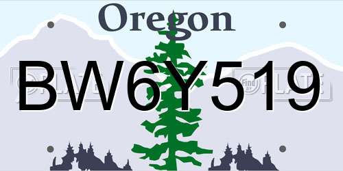 BW6Y519 Oregon License Plate