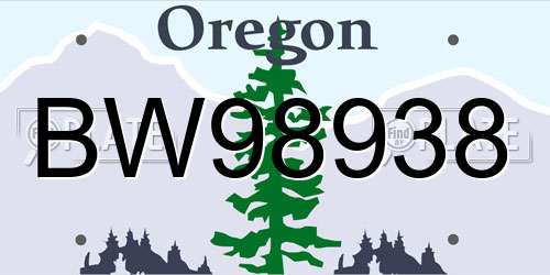 BW98938 Oregon License Plate