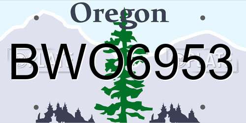BWO6953 Oregon License Plate