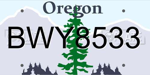 BWY8533 Oregon License Plate