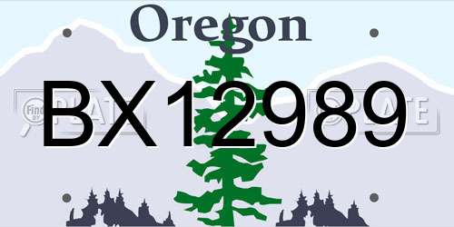BX12989 Oregon License Plate