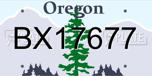 BX17677 Oregon License Plate