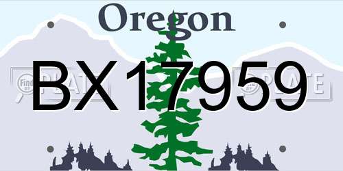 BX17959 Oregon License Plate