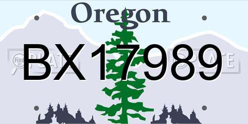 BX17989 Oregon License Plate