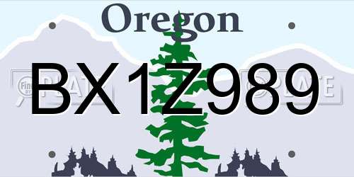 BX1Z989 Oregon License Plate