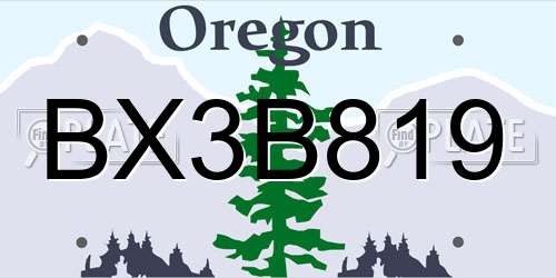BX3B819 Oregon License Plate