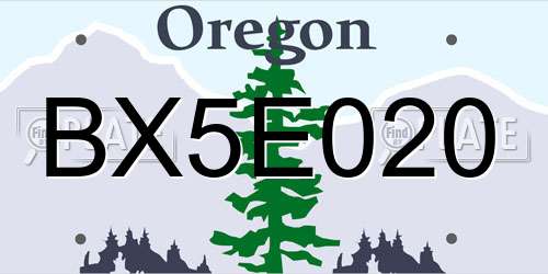 BX5E020 Oregon License Plate