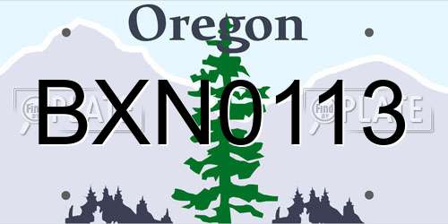 BXN0113 Oregon License Plate