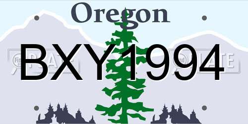 BXY1994 Oregon License Plate