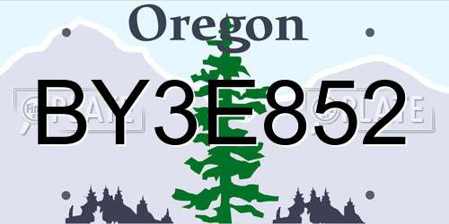 BY3E852 Oregon License Plate