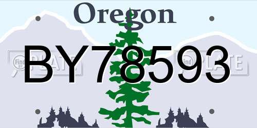 BY78593 Oregon License Plate