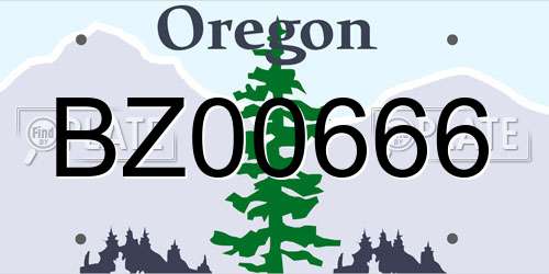 BZ00666 Oregon License Plate