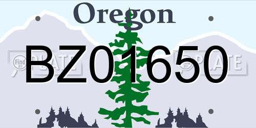 BZ01650 Oregon License Plate