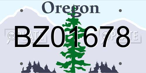 BZ01678 Oregon License Plate