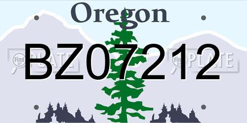 BZ07212 Oregon License Plate