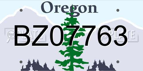 BZ07763 Oregon License Plate