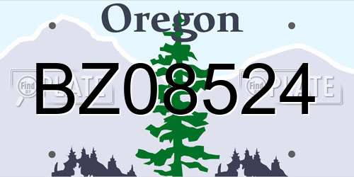 BZ08524 Oregon License Plate