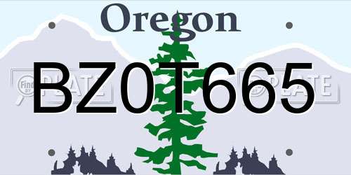BZ0T665 Oregon License Plate