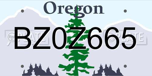 BZ0Z665 Oregon License Plate
