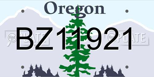 BZ11921 Oregon License Plate