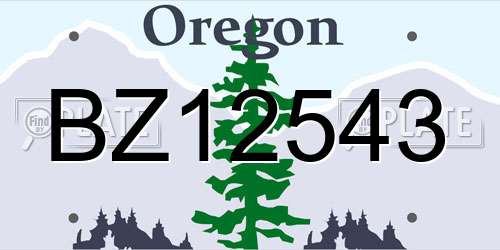 BZ12543 Oregon License Plate