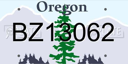 BZ13062 Oregon License Plate
