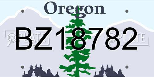 BZ18782 Oregon License Plate