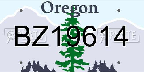 BZ19614 Oregon License Plate