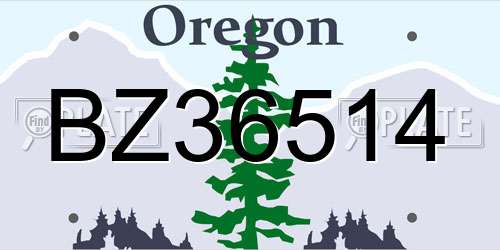 BZ36514 Oregon License Plate