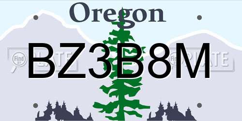 BZ3B8M Oregon License Plate