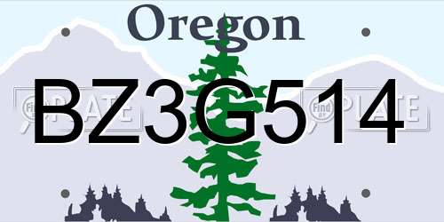 BZ3G514 Oregon License Plate