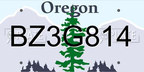 BZ3G814 Oregon License Plate