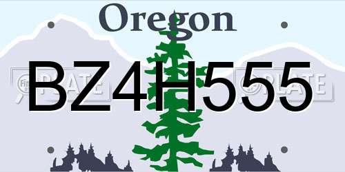 BZ4H555 Oregon License Plate