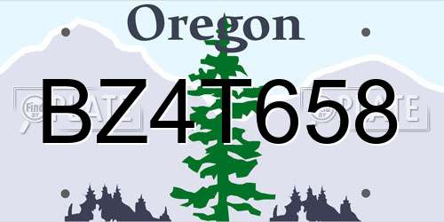 BZ4T658 Oregon License Plate