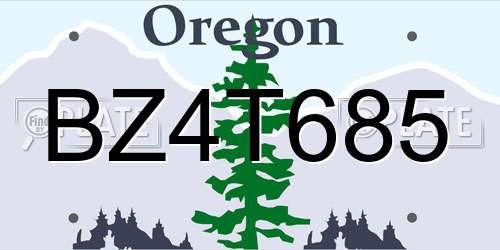 BZ4T685 Oregon License Plate
