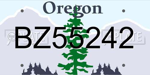 BZ55242 Oregon License Plate