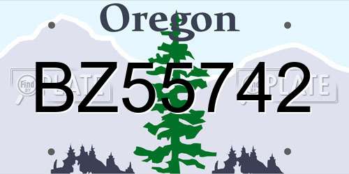 BZ55742 Oregon License Plate