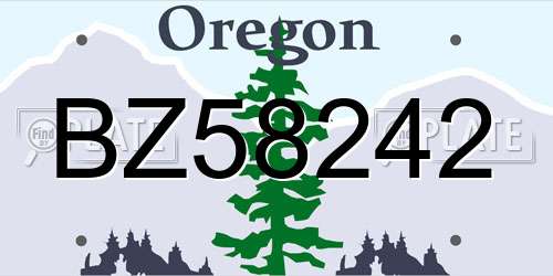 BZ58242 Oregon License Plate