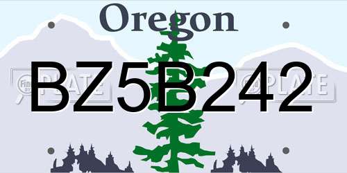 BZ5B242 Oregon License Plate