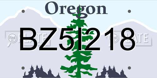 BZ5I218 Oregon License Plate