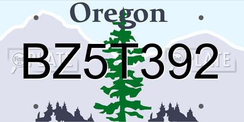 BZ5T392 Oregon License Plate