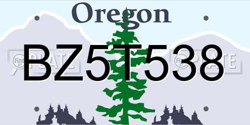 BZ5T538 Oregon License Plate