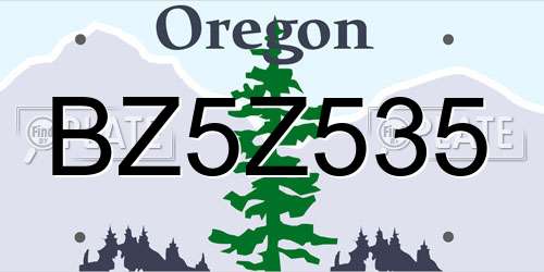 BZ5Z535 Oregon License Plate