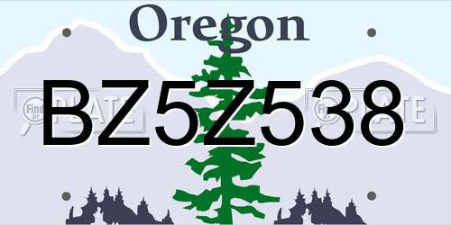 BZ5Z538 Oregon License Plate